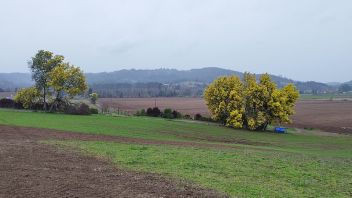 Venta Parcela Temuco - La Araucanía