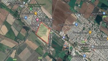 Venta Industrial San Clemente - Maule