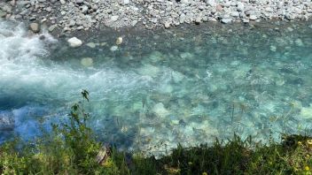 Venta Sitio Cochamó - Los Lagos