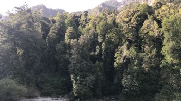 Venta Sitio Cochamó - Los Lagos