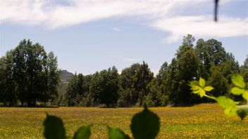 Venta Parcela Panguipulli - Los Ríos