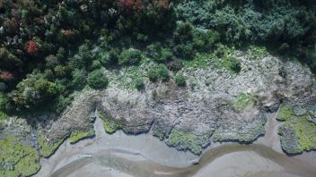 Venta Parcela Ancud - Los Lagos