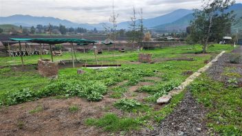 Venta Agrícola Paine - Región Metropolitana