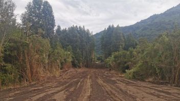 Venta Sitio Lago Ranco - Los Ríos