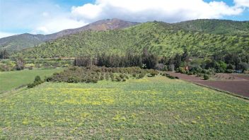 Venta Sitio Isla de Maipo - Región Metropolitana