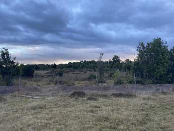 Venta Terreno Chonchi - Los Lagos