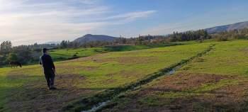 Venta Agrícola Melipilla - Región Metropolitana