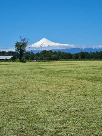 Venta Parcela Panguipulli - Los Ríos