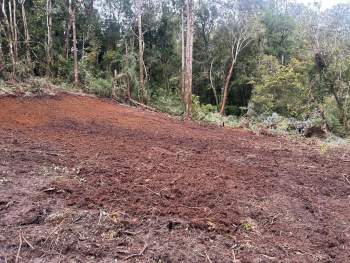 Venta Parcela Chonchi - Los Lagos