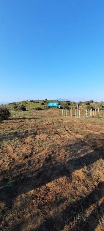 Venta Agrícola La Ligua - Valparaíso