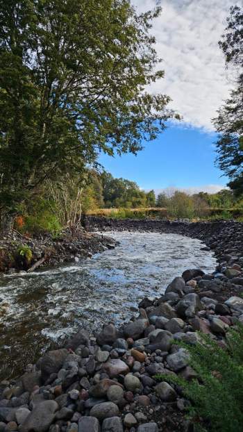 Venta Terreno Puerto Varas - Los Lagos