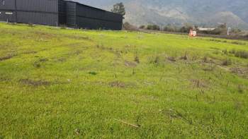 Venta Terreno Isla de Maipo - Región Metropolitana