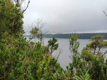 Venta Terreno Chonchi - Los Lagos