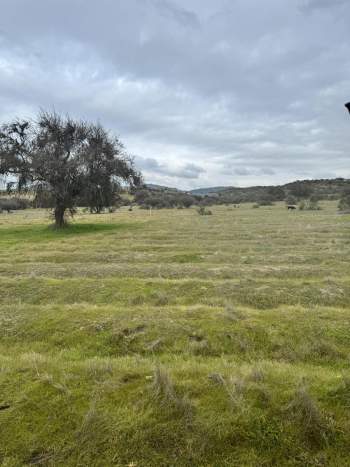 Venta Terreno Melipilla - Región Metropolitana