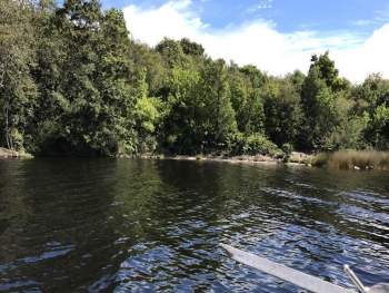 Venta Terreno Chonchi - Los Lagos