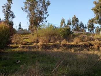 Venta Sitio San Antonio - Valparaíso