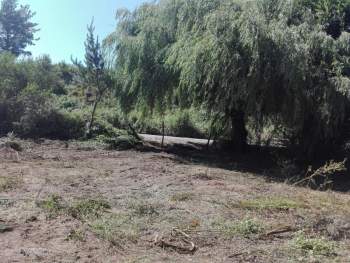 Venta Terreno Santa Bárbara - Biobío