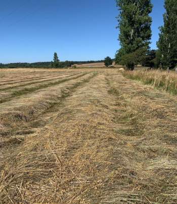 Venta Terreno Ercilla - La Araucanía