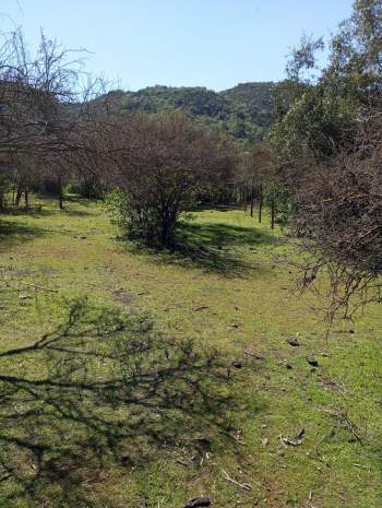 Venta Terreno Melipilla - Región Metropolitana