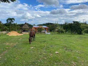 Venta Rancho Santiago Yaveo - Santiago Yaveo