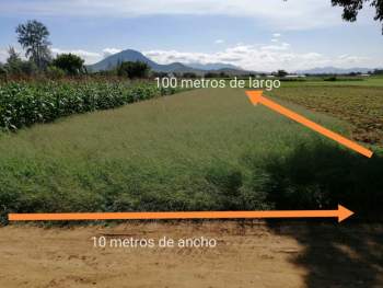 Venta Agrícola San Lorenzo - Zimatlán de Álvarez