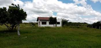 Venta Terreno / Lote Loza de los Padres - León