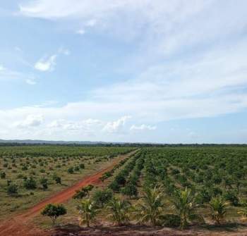 Venta Agrícola Oxkutzcab - Oxkutzcab