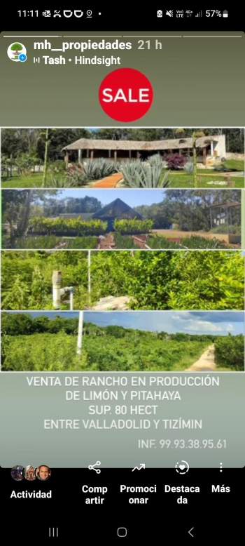 Venta Agrícola Temozón - Yucatán