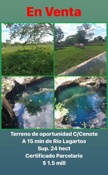 Venta Terreno / Lote Río Lagartos - Yucatán