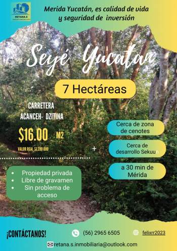 Venta Terreno / Lote Seyé - Seyé