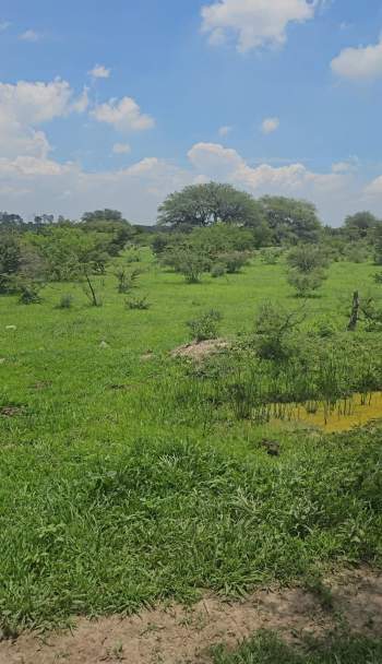 Venta Lote Los Chícharos - Lagos de Moreno