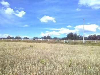 Venta Industrial San Andrés Jaltenco - Jaltenco