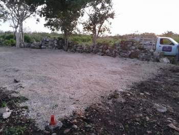 Venta Terreno / Lote Telchac Pueblo - Yucatán