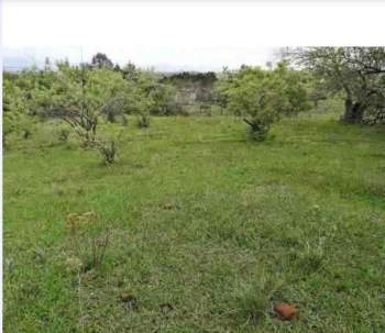 Venta Terreno / Lote Colinas del Paraíso - Totolapan