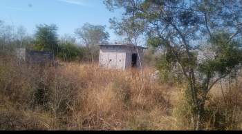 Venta Terreno / Lote Palmitos - Cadereyta Jiménez