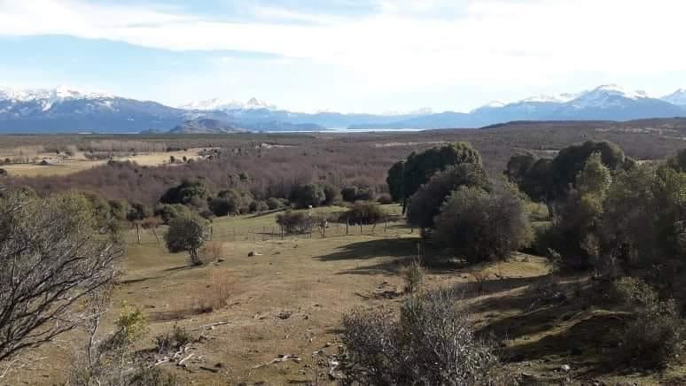 Venta Agrícola Chile Chico - Aysén