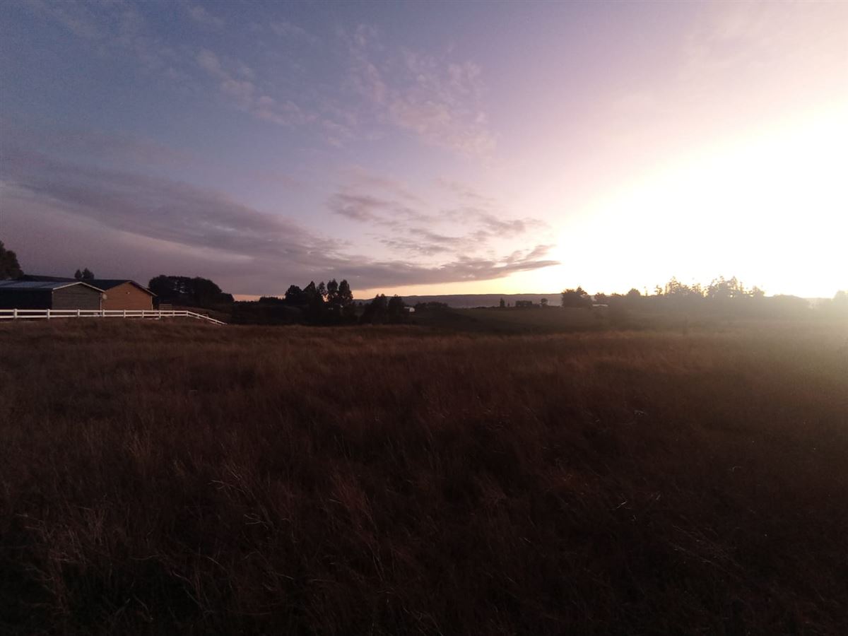 Venta Agrícola Castro - Los Lagos