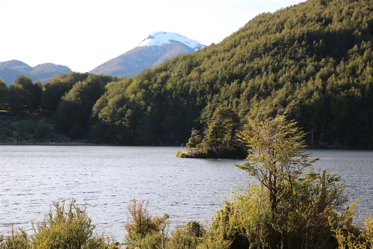 Venta Agrícola Coyhaique - Aysén