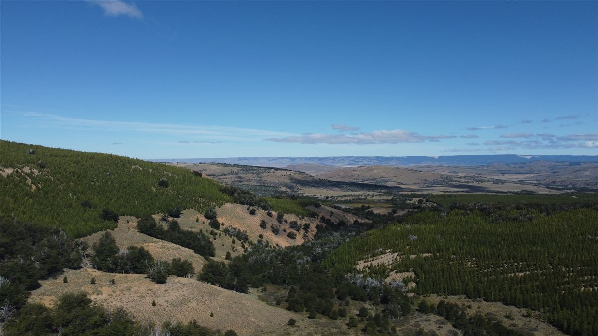 Venta Agrícola Coyhaique - Aysén