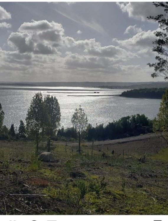 Venta Parcela Quellón - Los Lagos