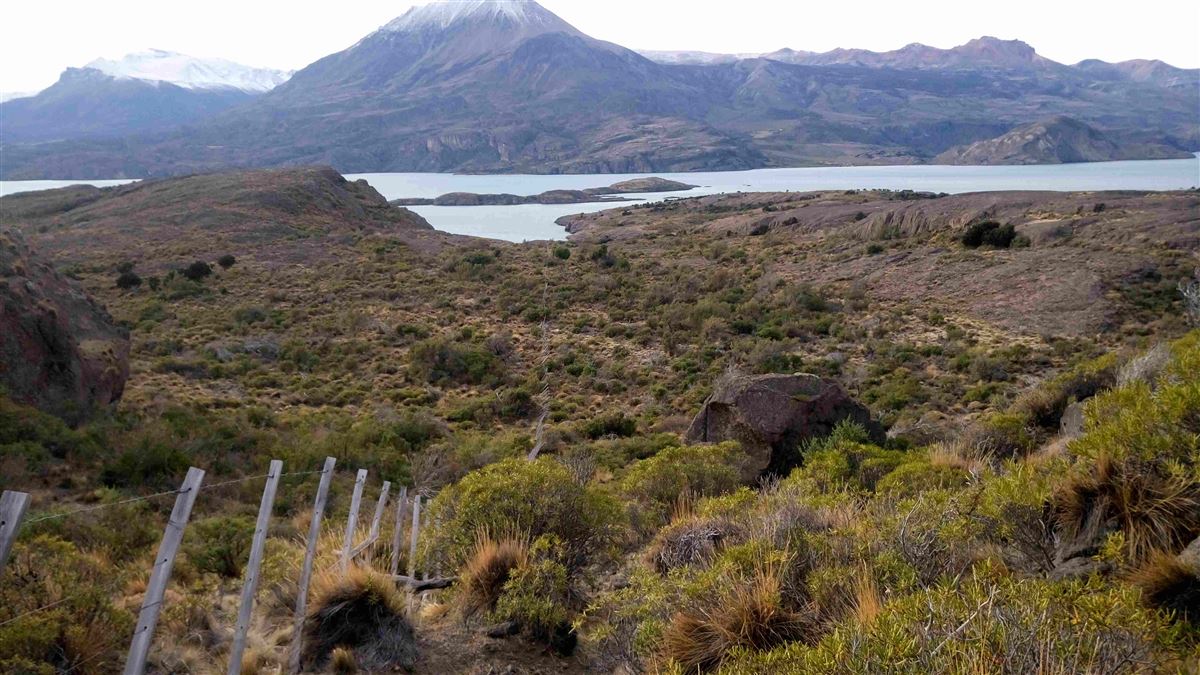 Venta Sitio Río Ibañez - Aysén