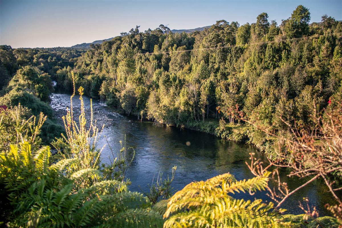 Venta Sitio Hualaihué - Los Lagos