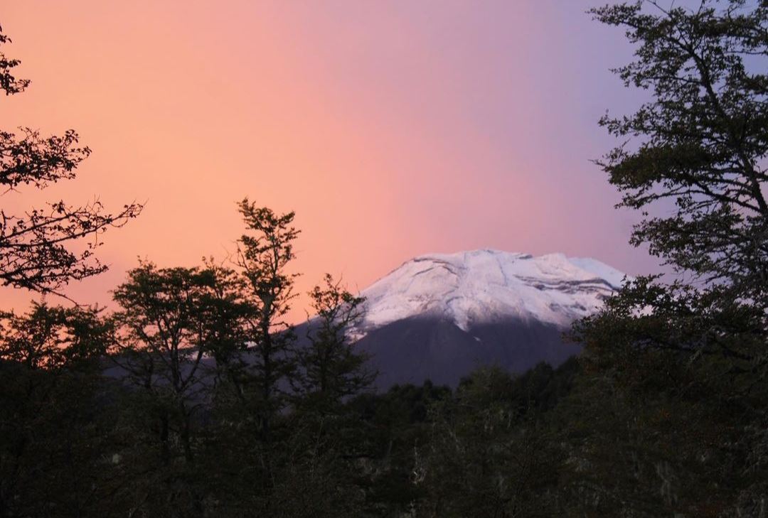 Venta Sitio Lonquimay - La Araucanía