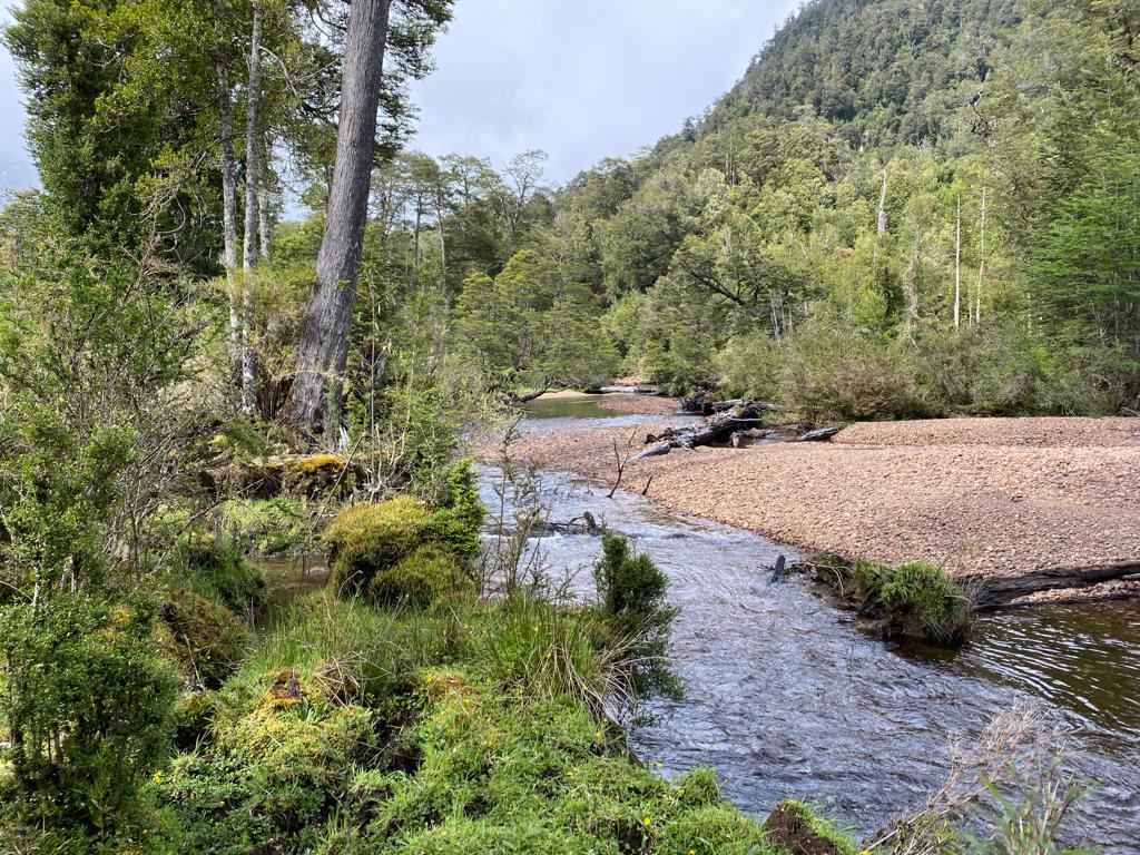 Venta Sitio Aysén - Aysén