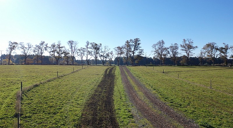 Venta Parcela Osorno - Los Lagos