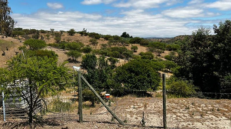 Venta Parcela Melipilla - Región Metropolitana