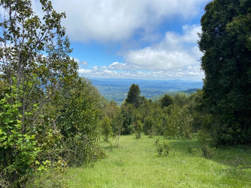 Venta Parcela Villarrica - La Araucanía