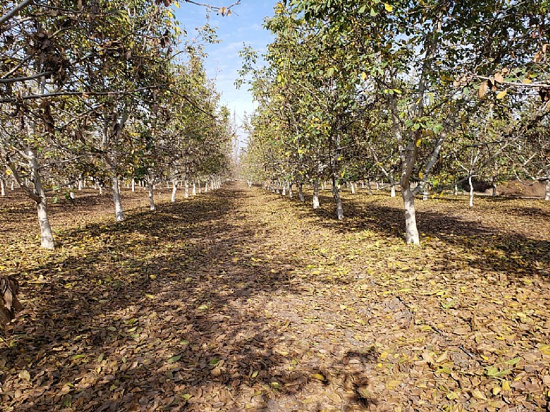 Venta Sitio Colina - Región Metropolitana