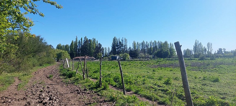 Venta Parcela Yumbel - Biobío