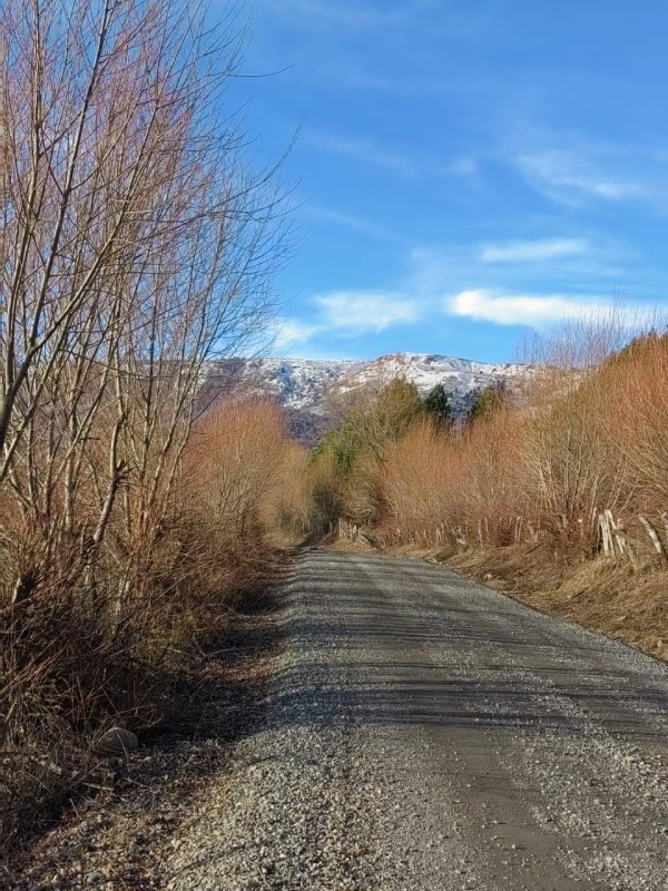 Venta Parcela Lonquimay - La Araucanía